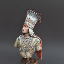 Blackfoot chief XIX cent.