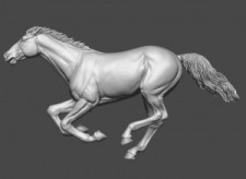 Animal: Horse №27
