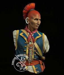 Tuscarora warrior