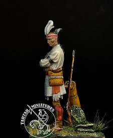Iroquois chief