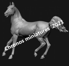 Animal: Horse №20