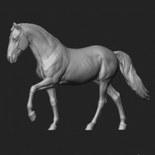Animal: Horse №25