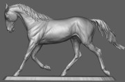 Akhal-teke