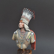 Blackfoot chief XIX cent.