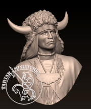 Comanche warrior