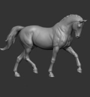 Animal: Horse №4