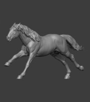 Animal: Horse №7