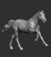 Animal: Horse №19