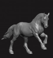 Animal: Horse №23