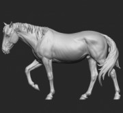Animal: Horse №24